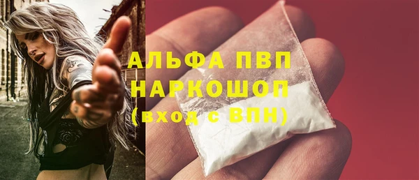 гашик Бородино