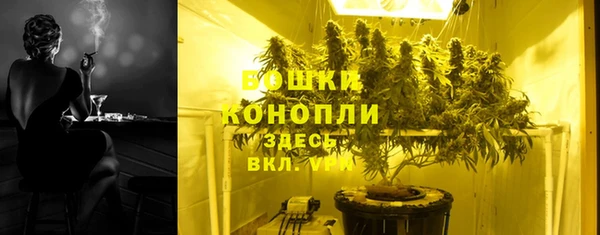 гашик Бородино