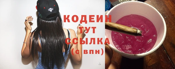 гашик Бородино