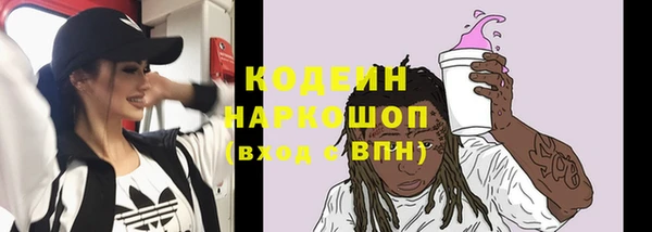гашик Бородино