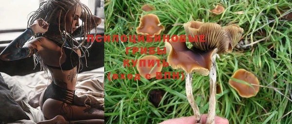 гашик Бородино