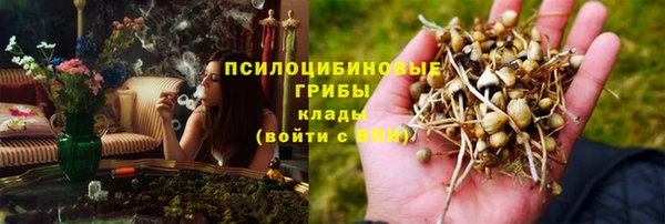 гашик Бородино