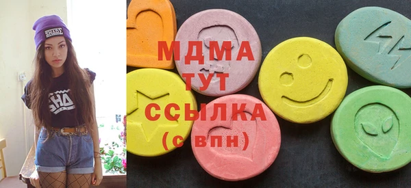 гашик Бородино