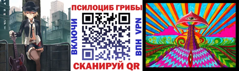 Галлюциногенные грибы ЛСД  Северская 