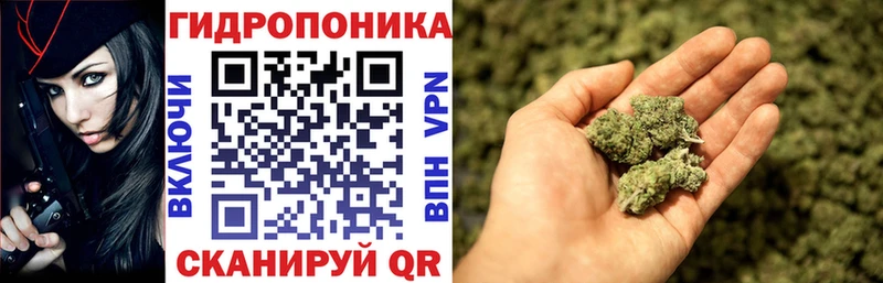 Шишки марихуана семена  кракен ТОР  Северская 